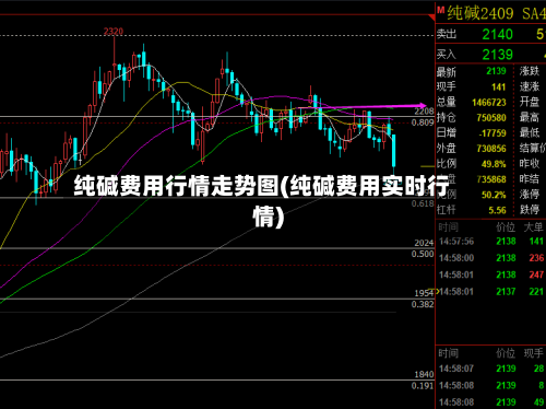 纯碱费用行情走势图(纯碱费用实时行情)-第3张图片