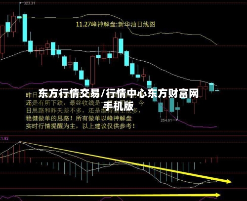 东方行情交易/行情中心东方财富网手机版