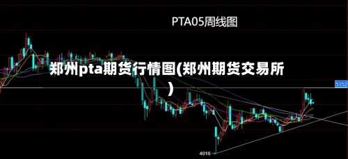 郑州pta期货行情图(郑州期货交易所)-第2张图片