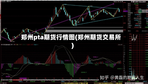 郑州pta期货行情图(郑州期货交易所)