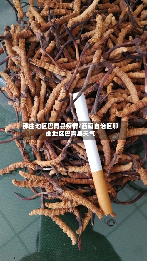 那曲地区巴青县疫情/西藏自治区那曲地区巴青县天气