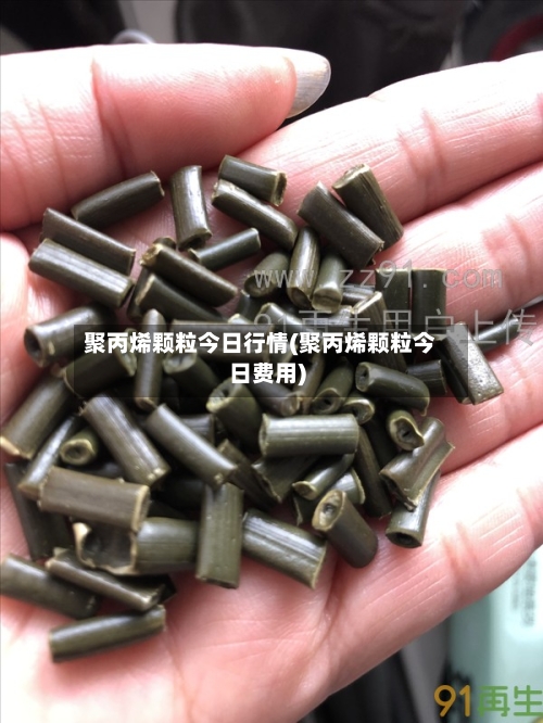 聚丙烯颗粒今日行情(聚丙烯颗粒今日费用)-第3张图片