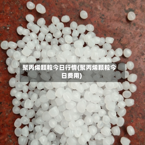 聚丙烯颗粒今日行情(聚丙烯颗粒今日费用)-第2张图片
