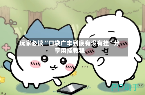 玩家必读“口袋广丰到底有没有挂”分享用挂教程
