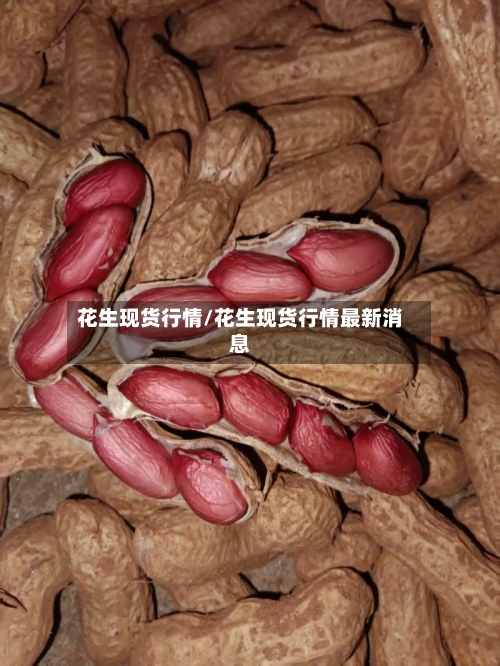 花生现货行情/花生现货行情最新消息-第3张图片