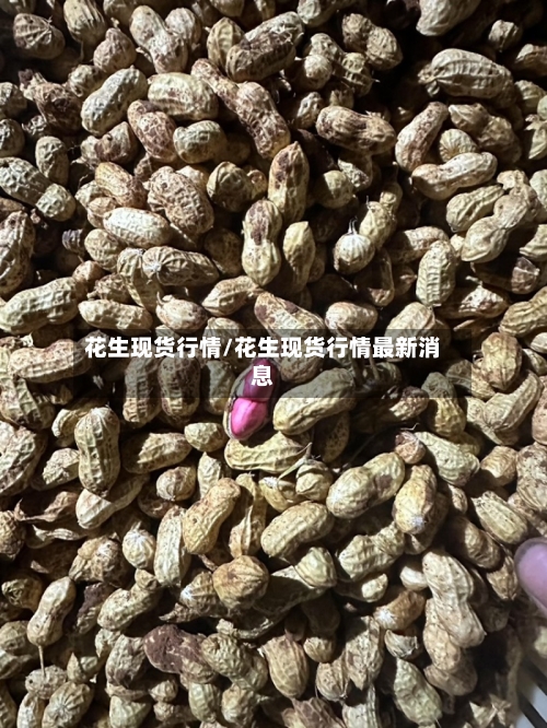 花生现货行情/花生现货行情最新消息