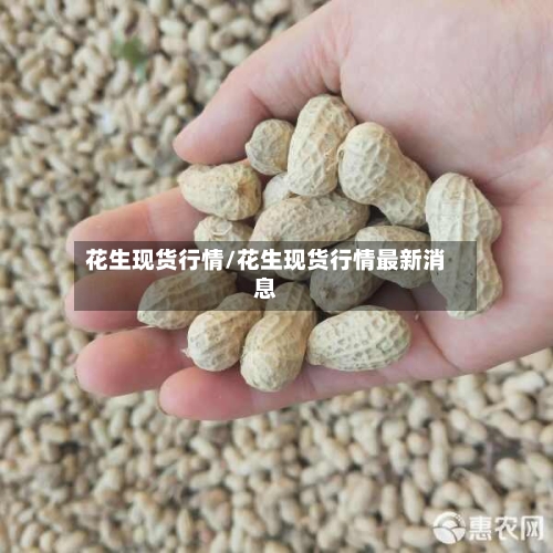 花生现货行情/花生现货行情最新消息-第2张图片