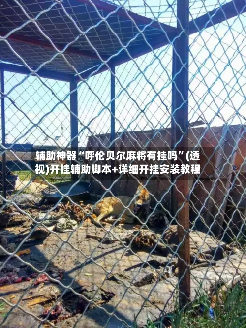 辅助神器“呼伦贝尔麻将有挂吗”(透视)开挂辅助脚本+详细开挂安装教程
