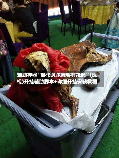 辅助神器“呼伦贝尔麻将有挂吗”(透视)开挂辅助脚本+详细开挂安装教程-第2张图片