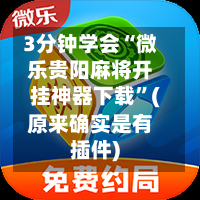 3分钟学会“微乐贵阳麻将开挂神器下载”(原来确实是有插件)-第2张图片