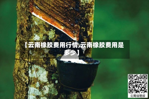 【云南橡胶费用行情,云南橡胶费用是多少】