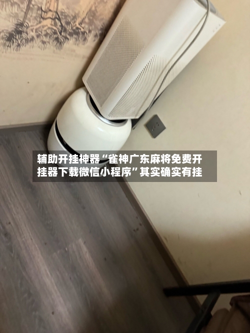 辅助开挂神器“雀神广东麻将免费开挂器下载微信小程序”其实确实有挂-第3张图片