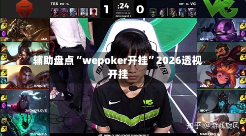 辅助盘点“wepoker开挂”2026透视开挂-第2张图片