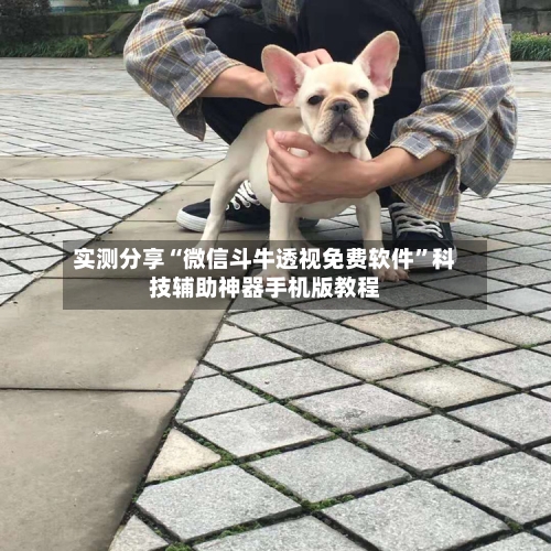 实测分享“微信斗牛透视免费软件”科技辅助神器手机版教程-第3张图片