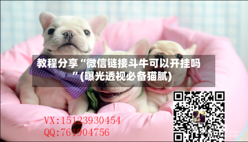 教程分享“微信链接斗牛可以开挂吗	”(曝光透视必备猫腻)-第2张图片
