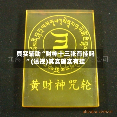 真实辅助“财神十三张有挂吗”(透视)其实确实有挂-第2张图片