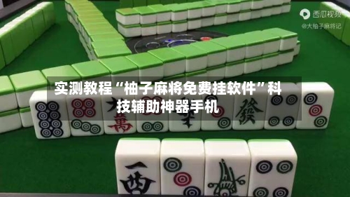 实测教程“柚子麻将免费挂软件”科技辅助神器手机-第3张图片