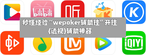 秒懂经验“wepoker辅助挂	”开挂(透视)辅助神器-第2张图片