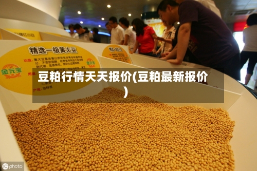 豆粕行情天天报价(豆粕最新报价)