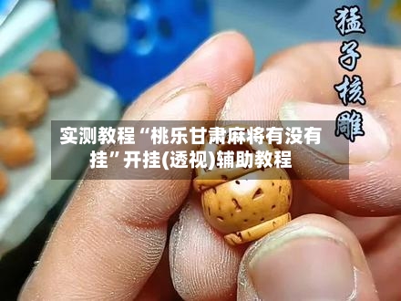 实测教程“桃乐甘肃麻将有没有挂”开挂(透视)辅助教程-第2张图片