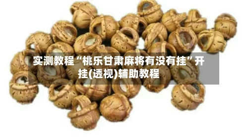 实测教程“桃乐甘肃麻将有没有挂”开挂(透视)辅助教程