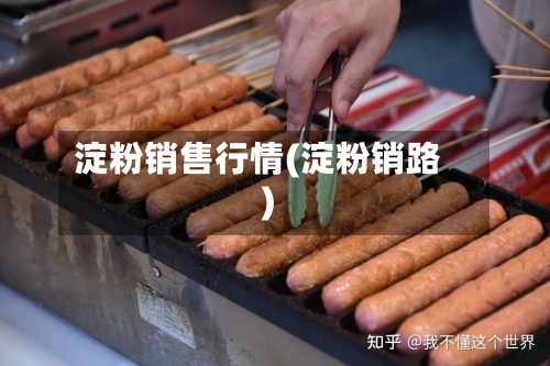 淀粉销售行情(淀粉销路)-第3张图片