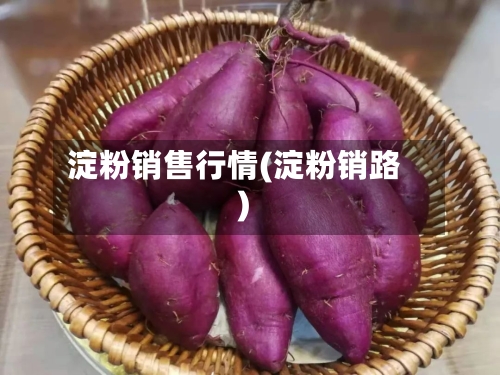 淀粉销售行情(淀粉销路)-第2张图片