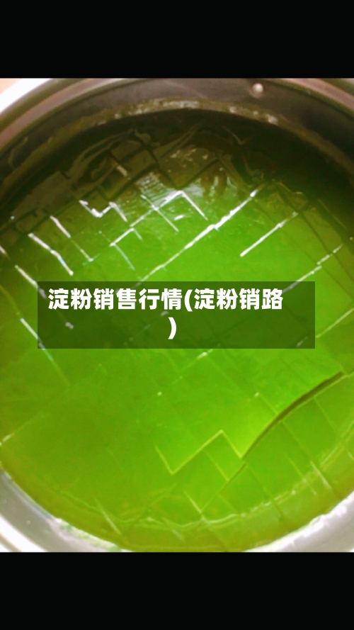 淀粉销售行情(淀粉销路)