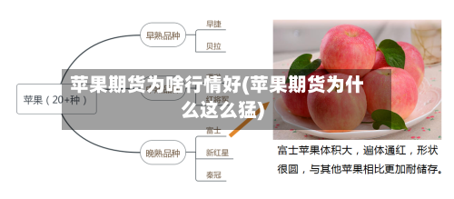 苹果期货为啥行情好(苹果期货为什么这么猛)