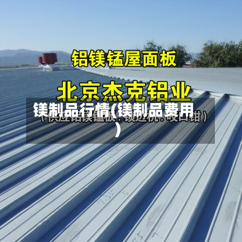 镁制品行情(镁制品费用)-第2张图片