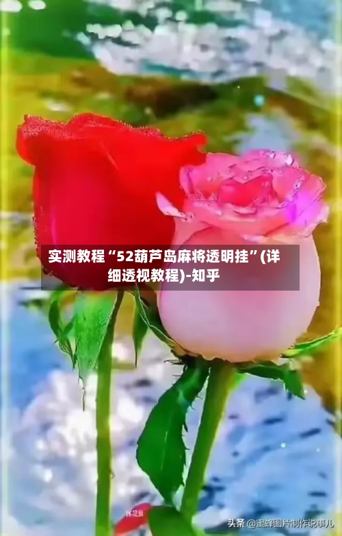 实测教程“52葫芦岛麻将透明挂”(详细透视教程)-知乎