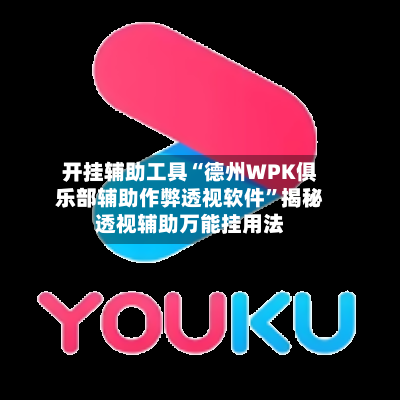开挂辅助工具“德州WPK俱乐部辅助作弊透视软件	”揭秘透视辅助万能挂用法-第2张图片