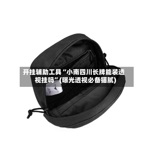 开挂辅助工具“小南四川长牌能装透视挂吗”(曝光透视必备猫腻)
