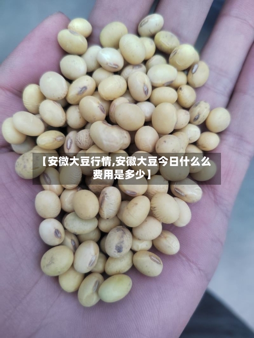 【安微大豆行情,安徽大豆今日什么么费用是多少】