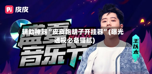 辅助神器“皮皮跑胡子开挂器	”(曝光透视必备猫腻)-第2张图片