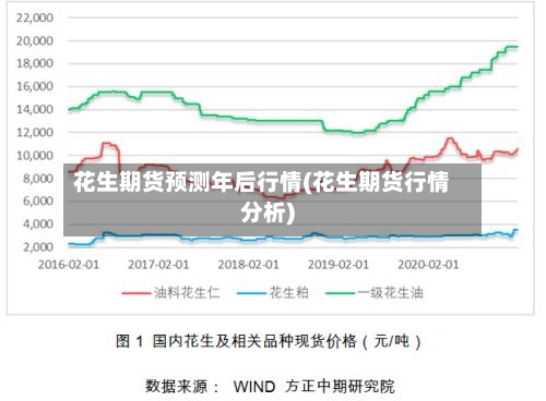花生期货预测年后行情(花生期货行情分析)-第2张图片