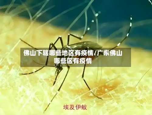 佛山下辖哪些地区有疫情/广东佛山哪些区有疫情