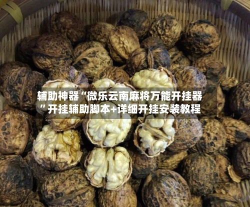 辅助神器“微乐云南麻将万能开挂器	”开挂辅助脚本+详细开挂安装教程-第2张图片