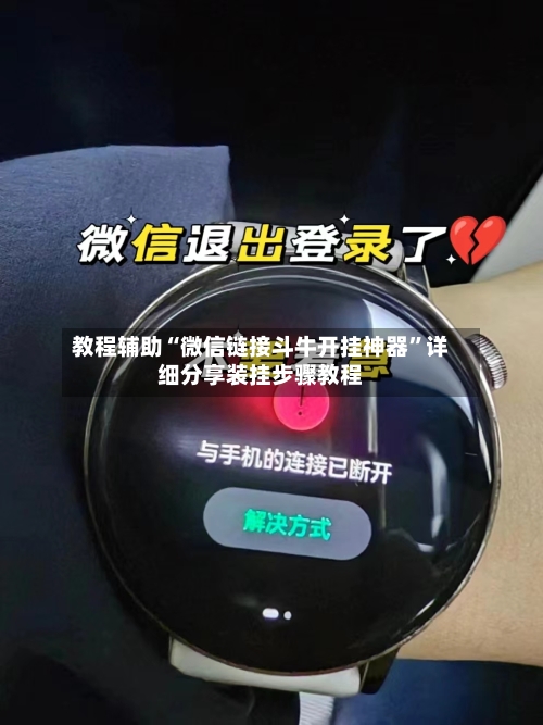 教程辅助“微信链接斗牛开挂神器	”详细分享装挂步骤教程-第2张图片