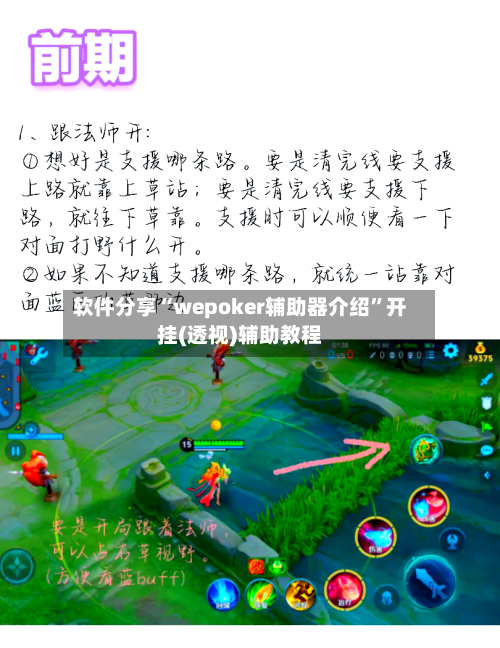 软件分享“wepoker辅助器介绍”开挂(透视)辅助教程