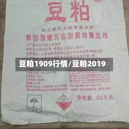 豆粕1909行情/豆粕2019