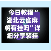 今日教程“湖北云雀麻将有挂吗”详细分享装挂步骤-第3张图片