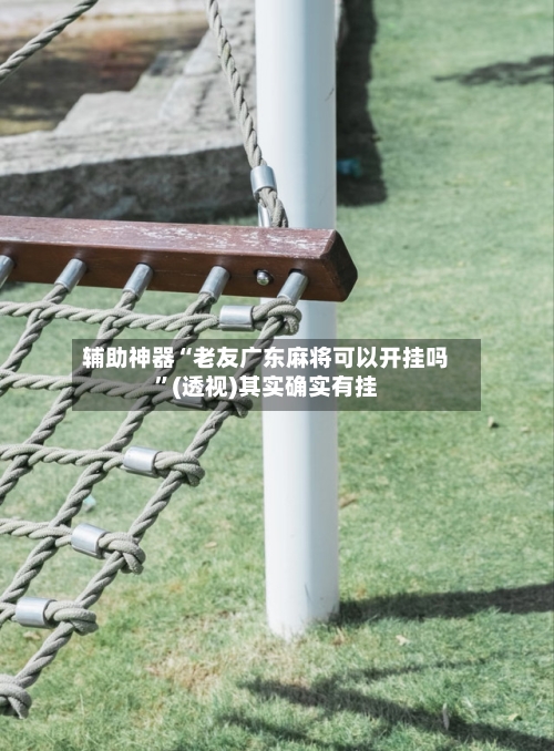 辅助神器“老友广东麻将可以开挂吗	”(透视)其实确实有挂-第2张图片