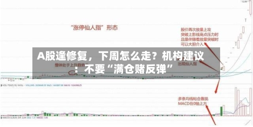 A股逢修复，下周怎么走？机构建议：不要“满仓赌反弹”