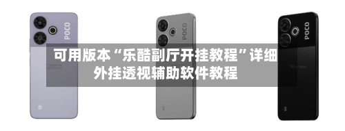可用版本“乐酷副厅开挂教程	”详细外挂透视辅助软件教程-第2张图片