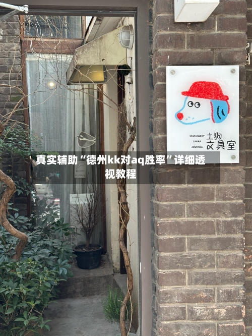 真实辅助“德州kk对aq胜率”详细透视教程-第3张图片