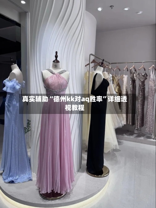 真实辅助“德州kk对aq胜率”详细透视教程-第2张图片