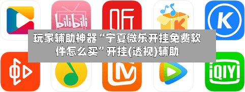 玩家辅助神器“宁夏微乐开挂免费软件怎么买”开挂(透视)辅助-第3张图片