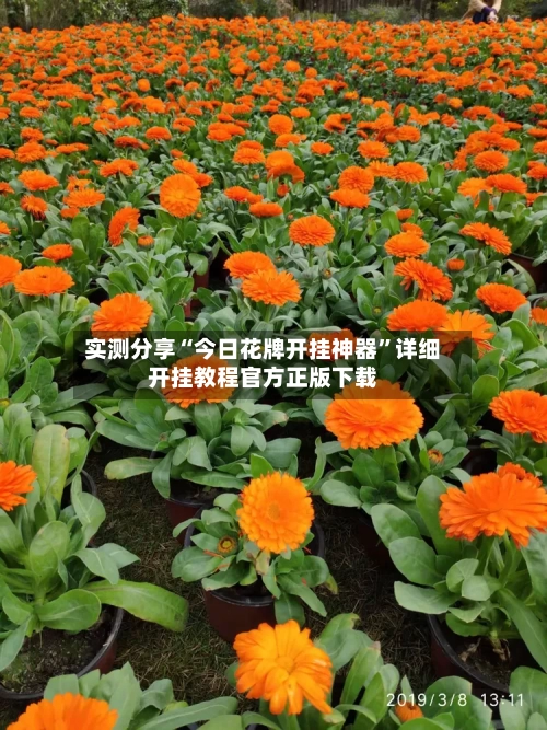 实测分享“今日花牌开挂神器”详细开挂教程官方正版下载