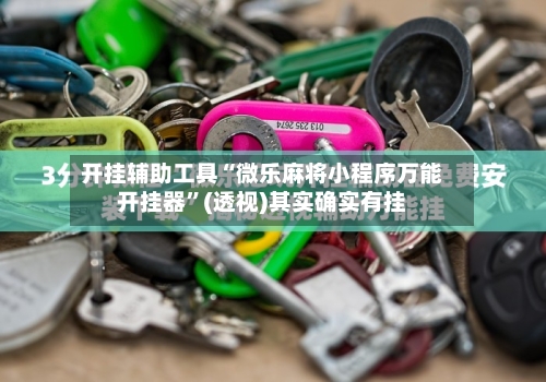 开挂辅助工具“微乐麻将小程序万能开挂器”(透视)其实确实有挂